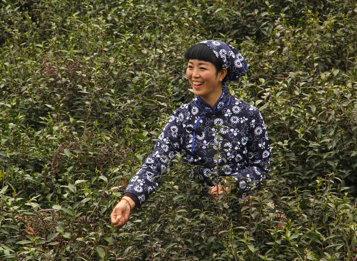 花开有时 真人漫改